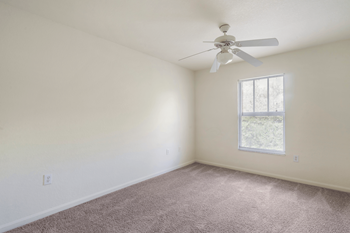 Plush carpeting